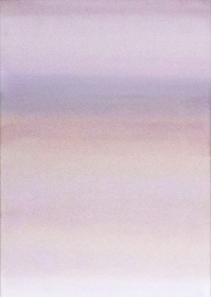 Fields of Haze Bildexzerpt - Nicole Krenn